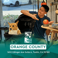 Orange County Workshops