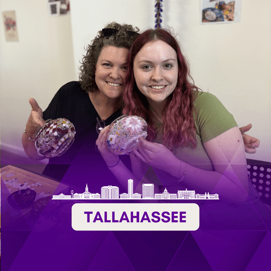 Mosaic Classes in Tallahassee